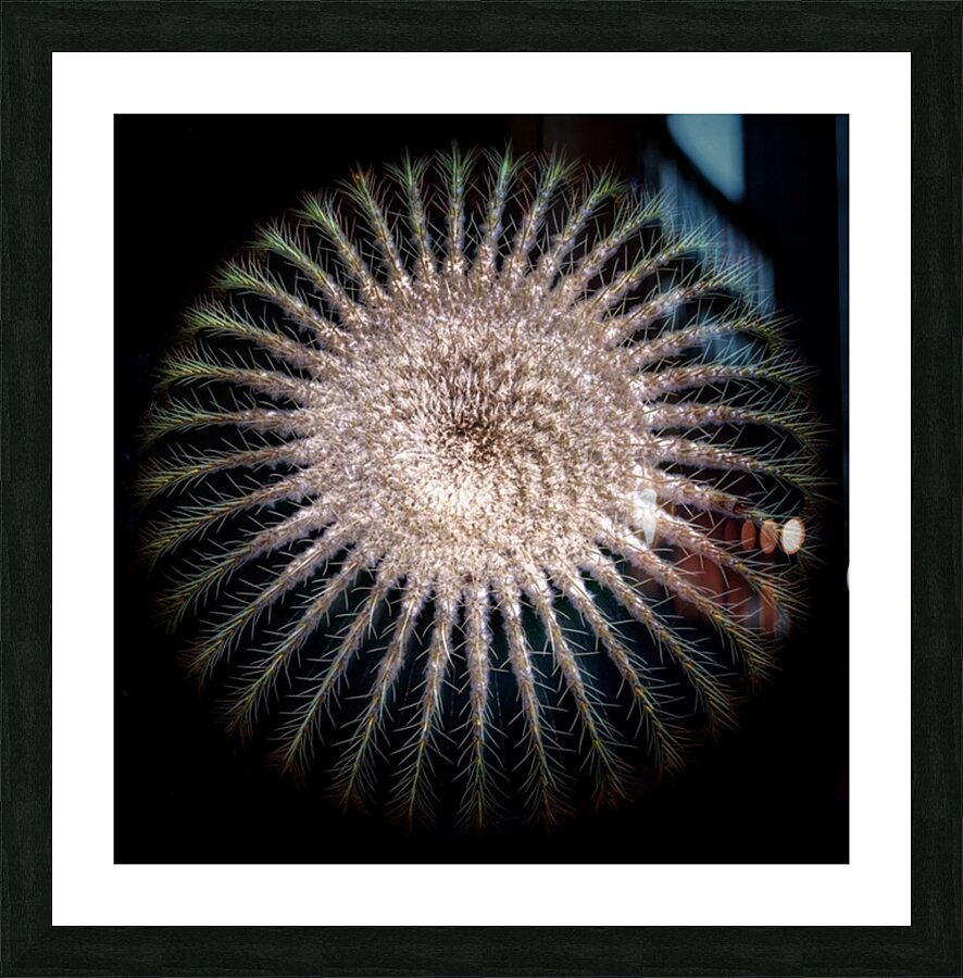 V725 Picture Frame print