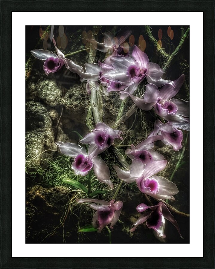V728 Picture Frame print