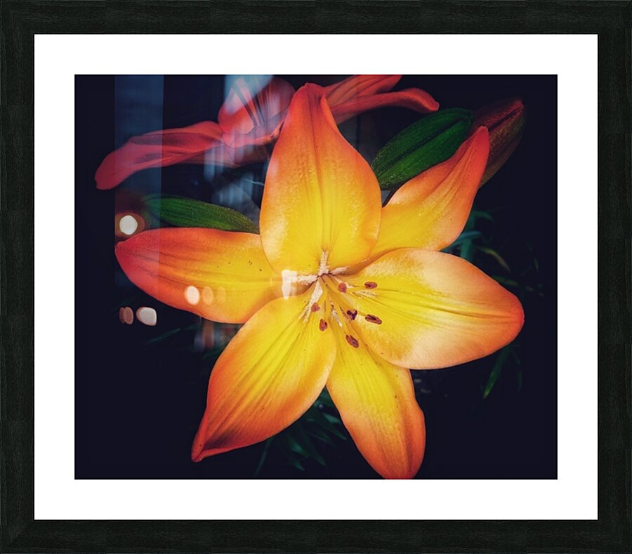 V730 Picture Frame print