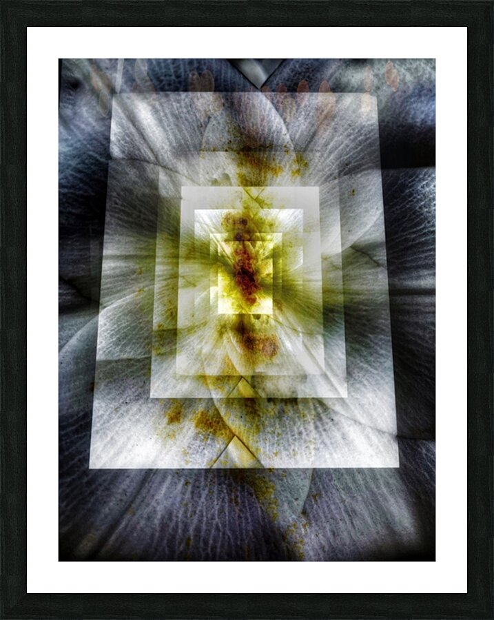 V731 Picture Frame print