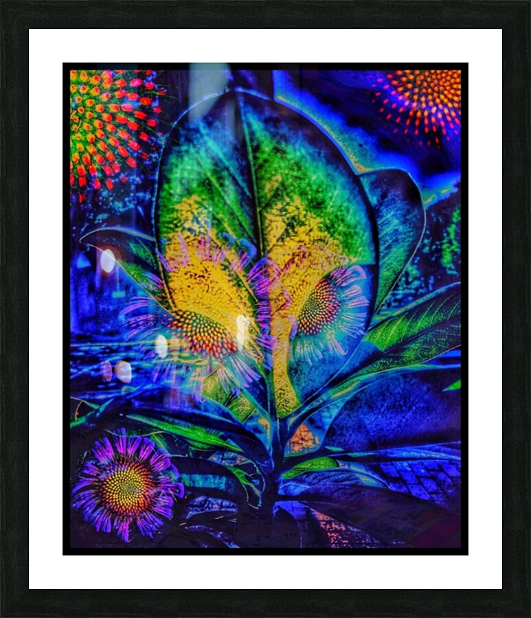 V732 Picture Frame print