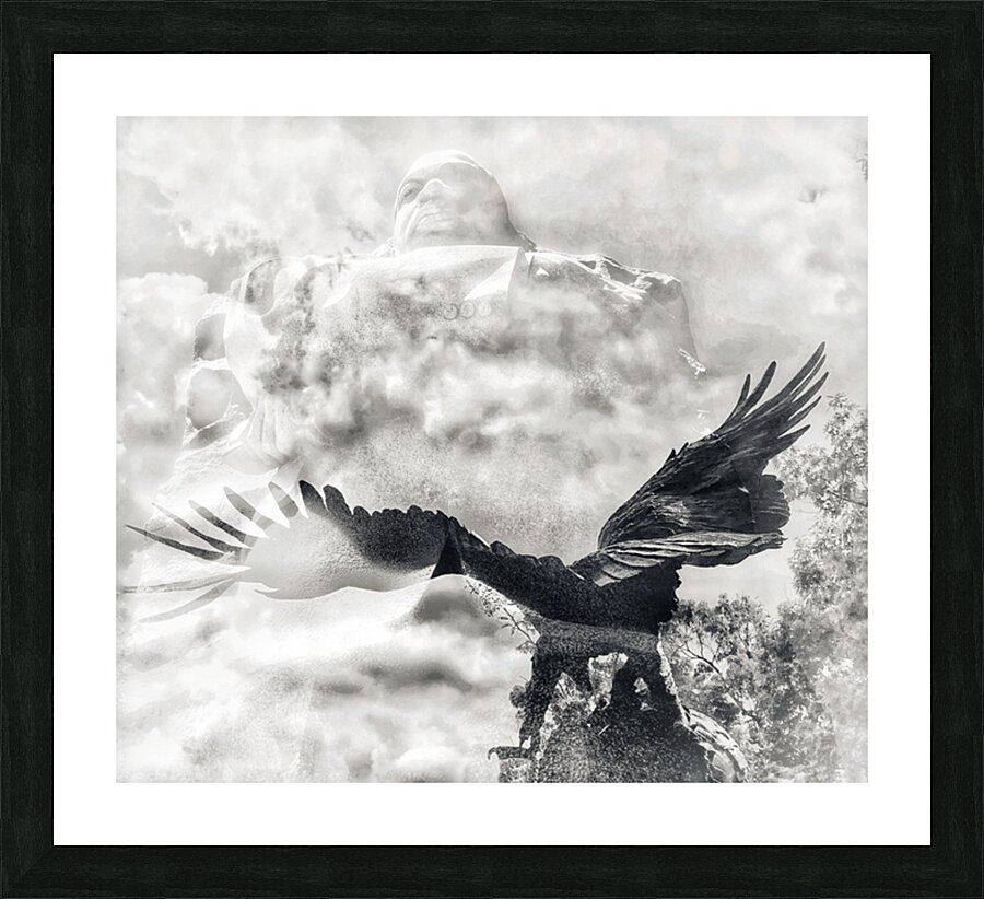 V733 Picture Frame print