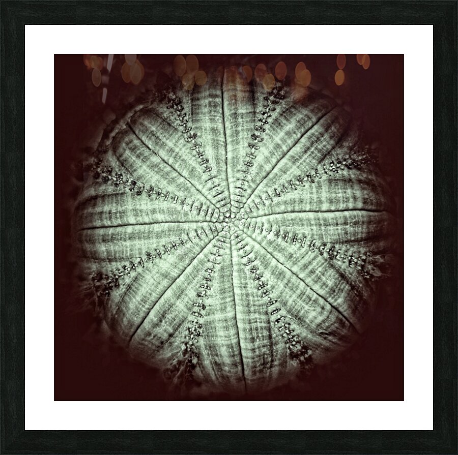 V734 Picture Frame print