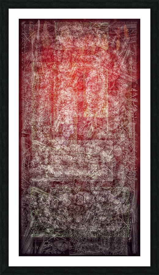 V736 Picture Frame print