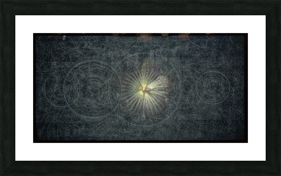 V738 Picture Frame print
