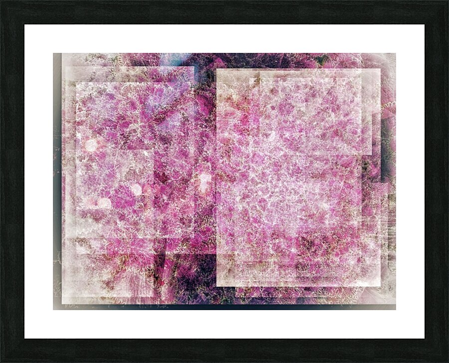 V740 Picture Frame print