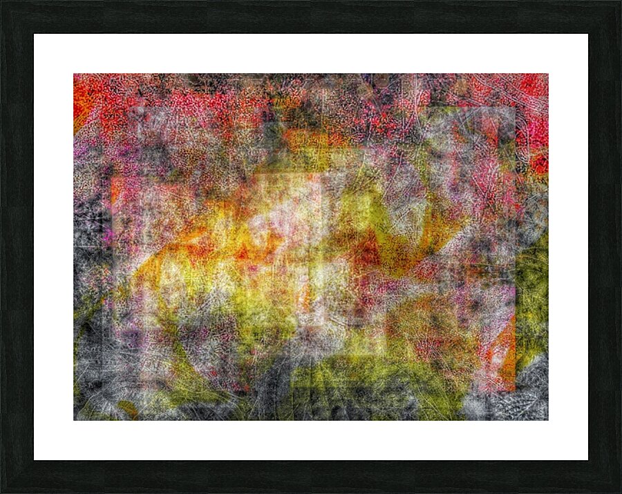 V743 Picture Frame print