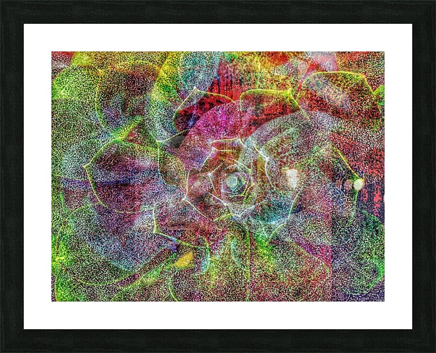 V750 Picture Frame print
