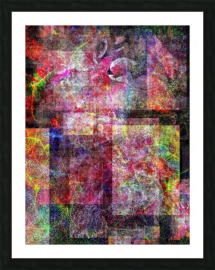 V752 Picture Frame print