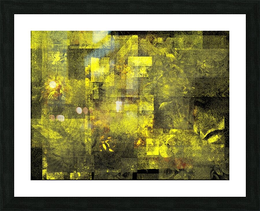 V755 Picture Frame print