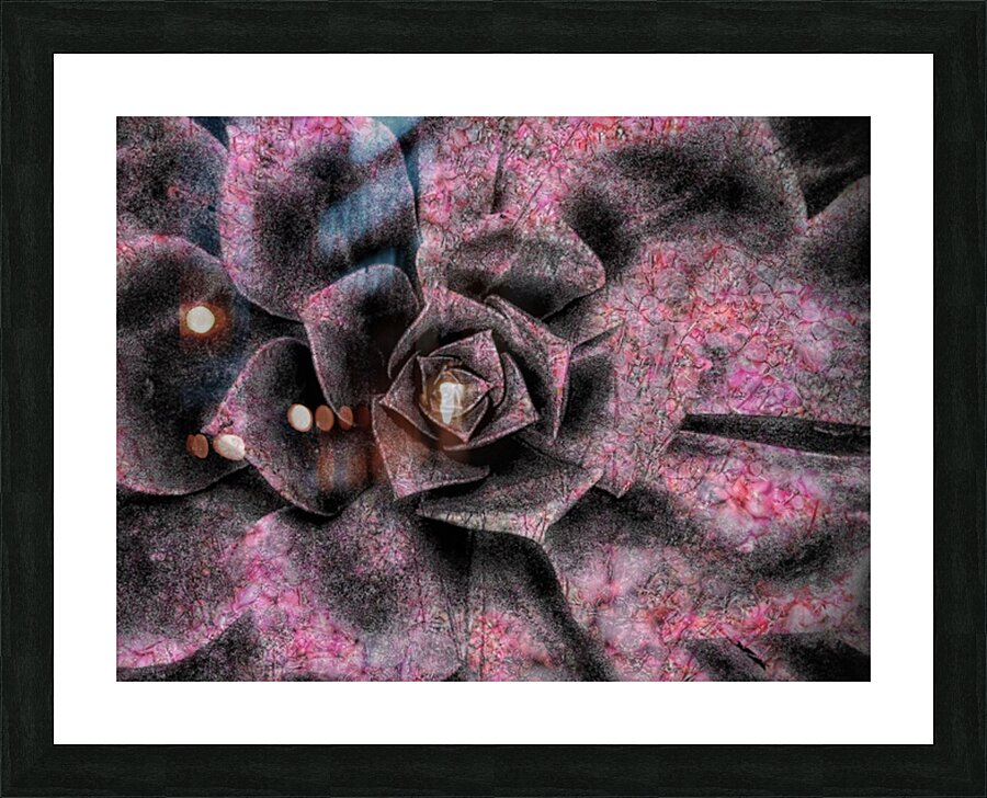 V793 Picture Frame print