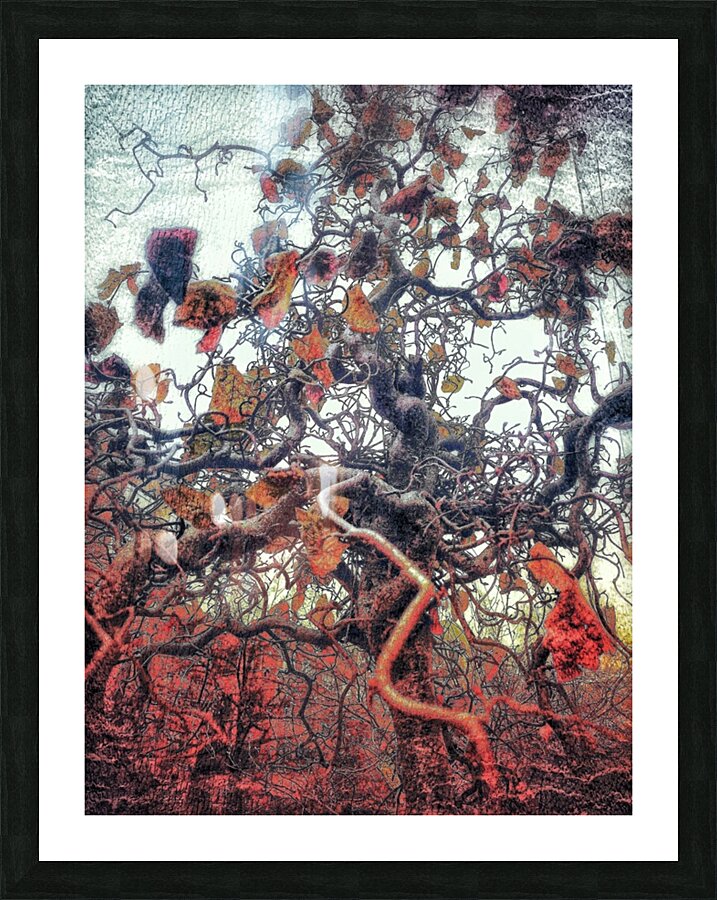 V796 Picture Frame print
