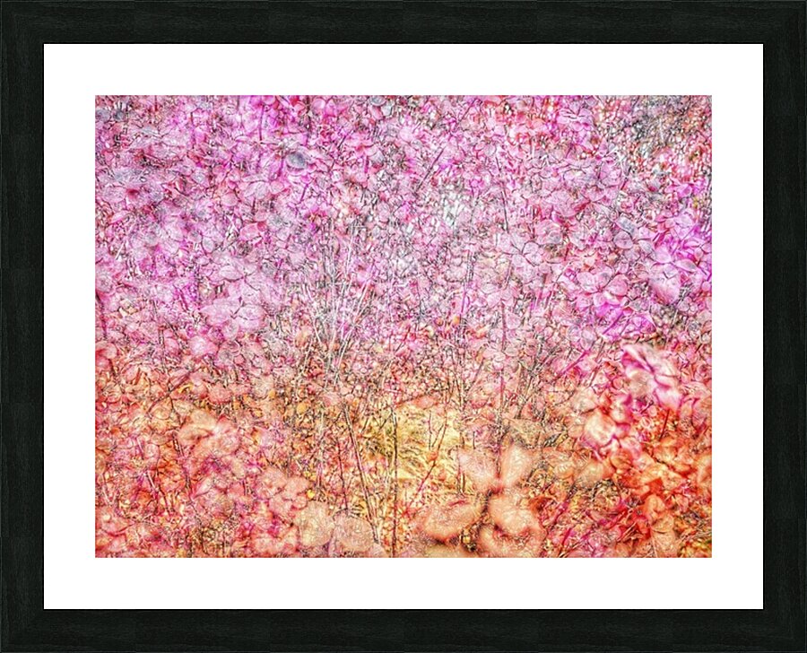 V799 Picture Frame print