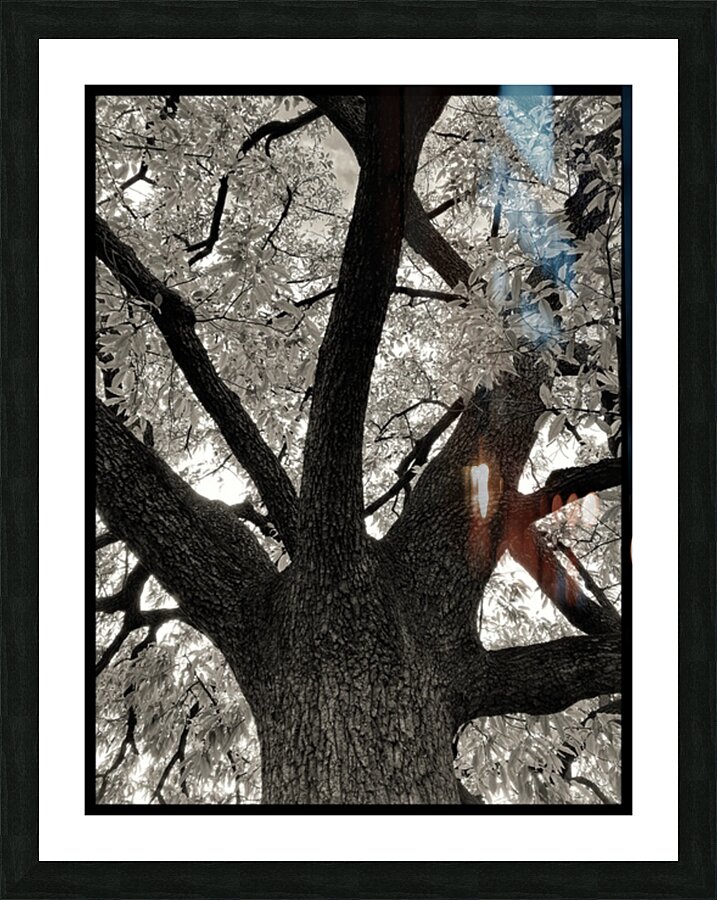 V802 Picture Frame print
