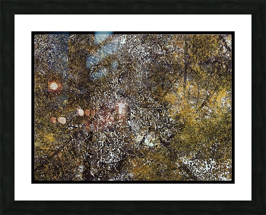 V803 Picture Frame print