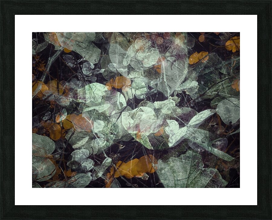 V804 Picture Frame print