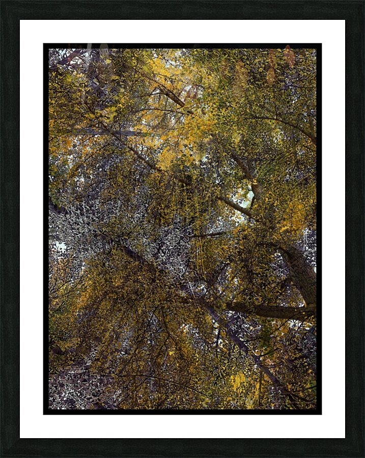 V812 Picture Frame print