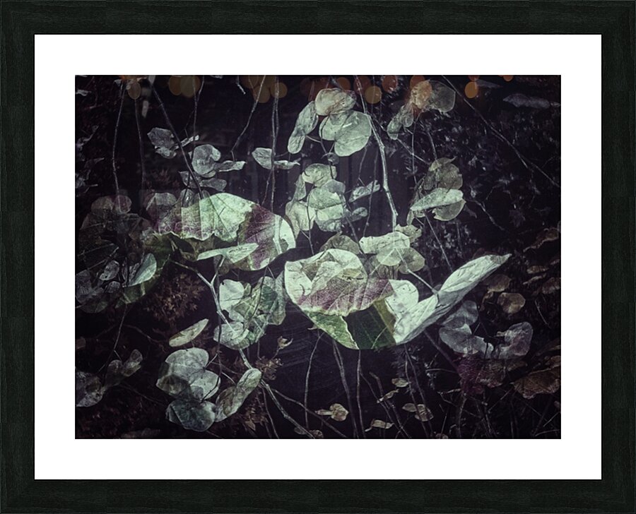 V814 Picture Frame print