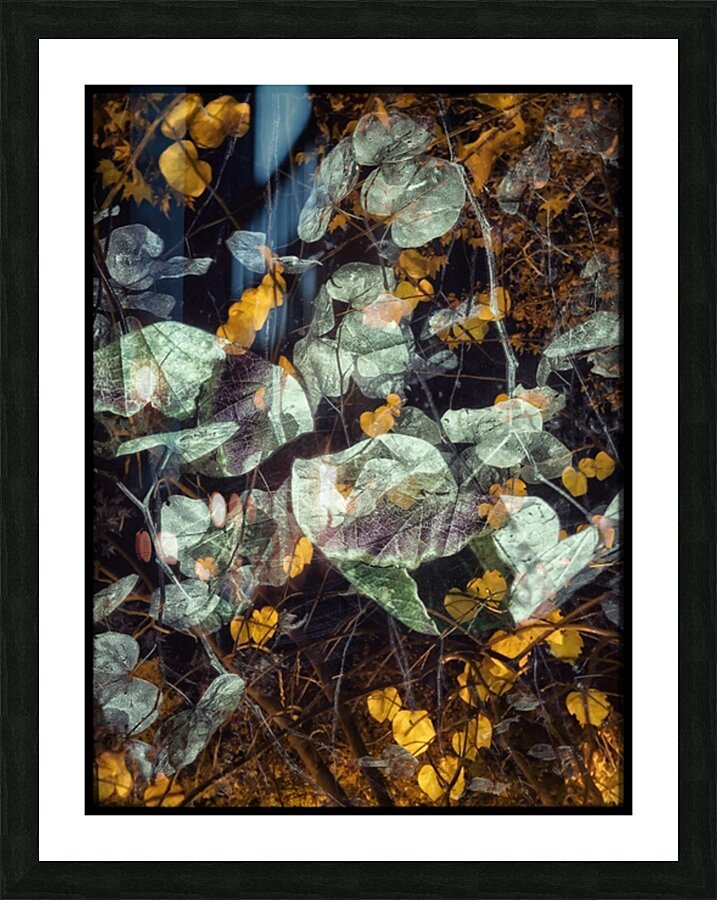 V821 Picture Frame print