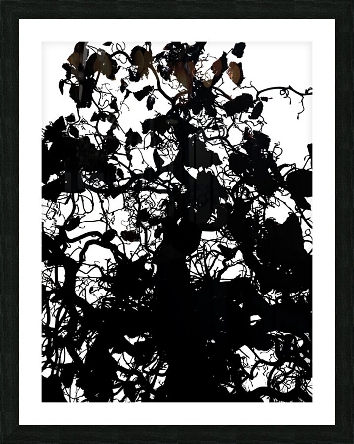 V823 Picture Frame print