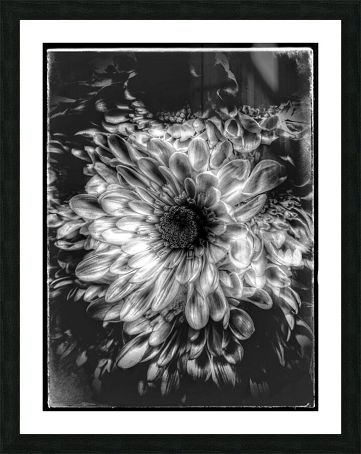 V827 Picture Frame print