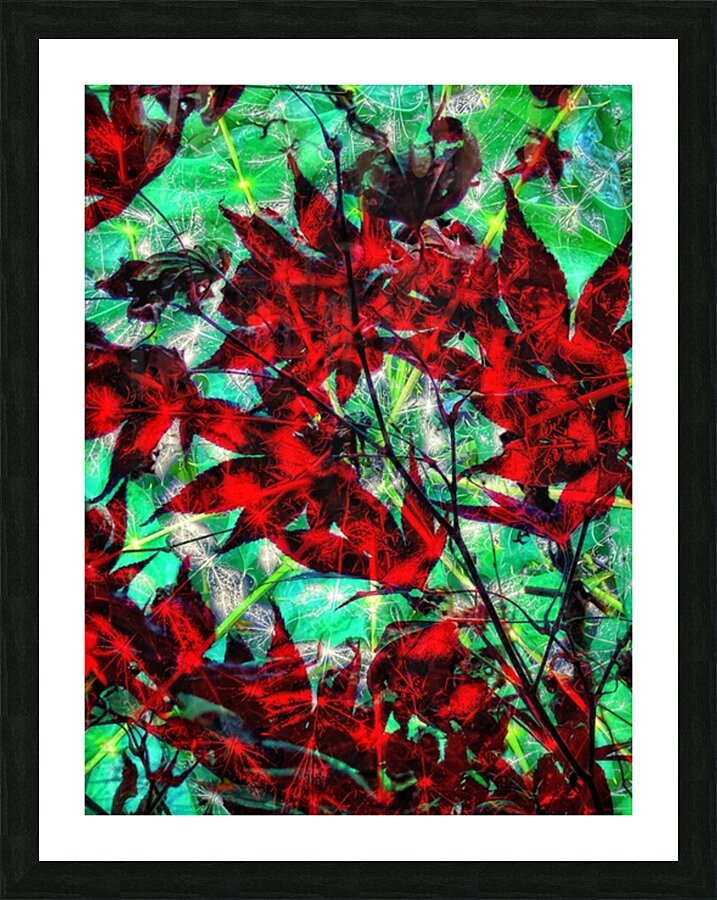 V828 Picture Frame print