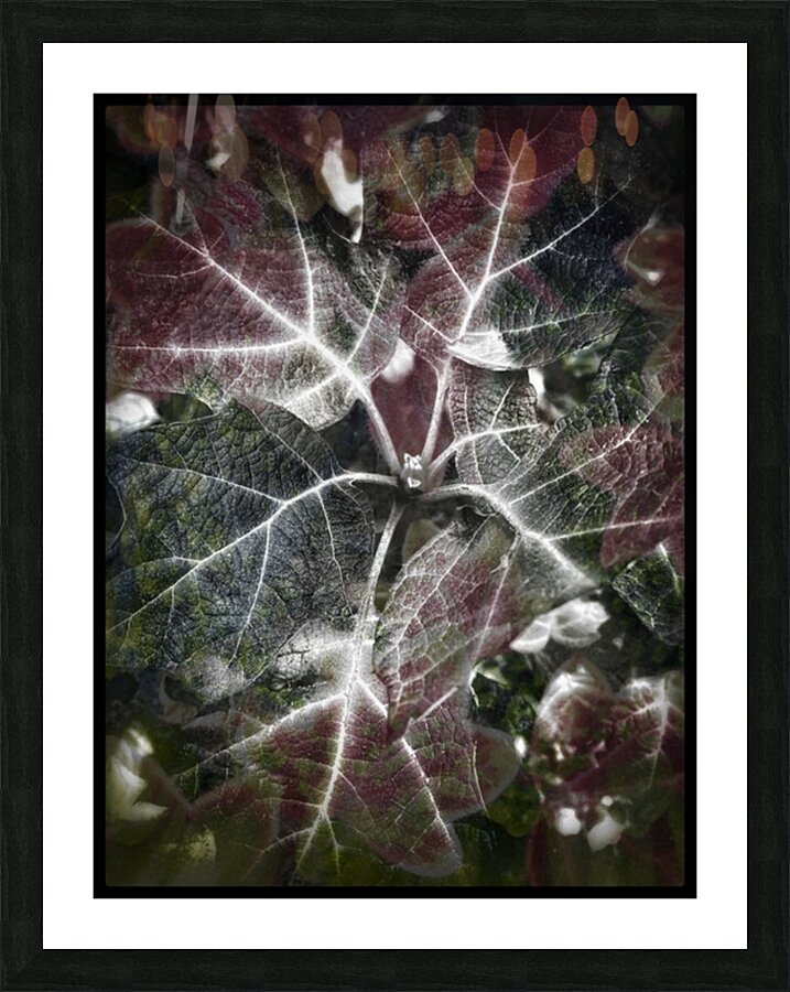 V829 Picture Frame print