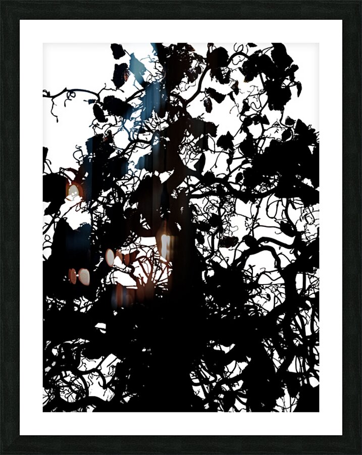 V831 Picture Frame print