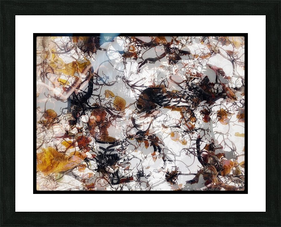V832 Picture Frame print