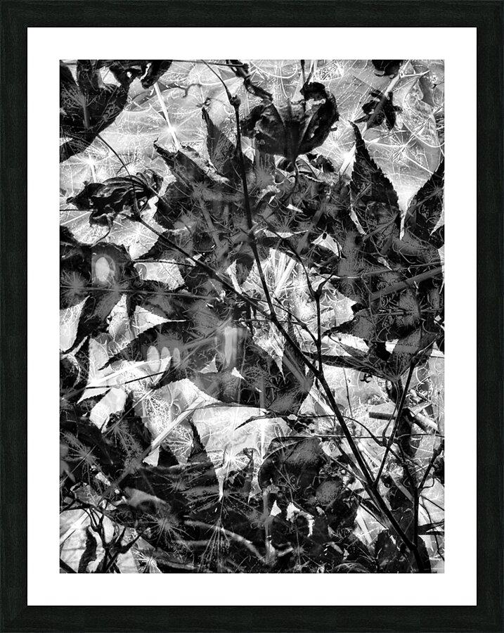 V838 Picture Frame print