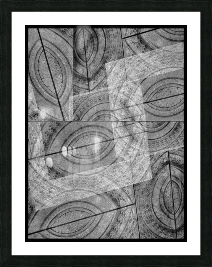 V839 Picture Frame print
