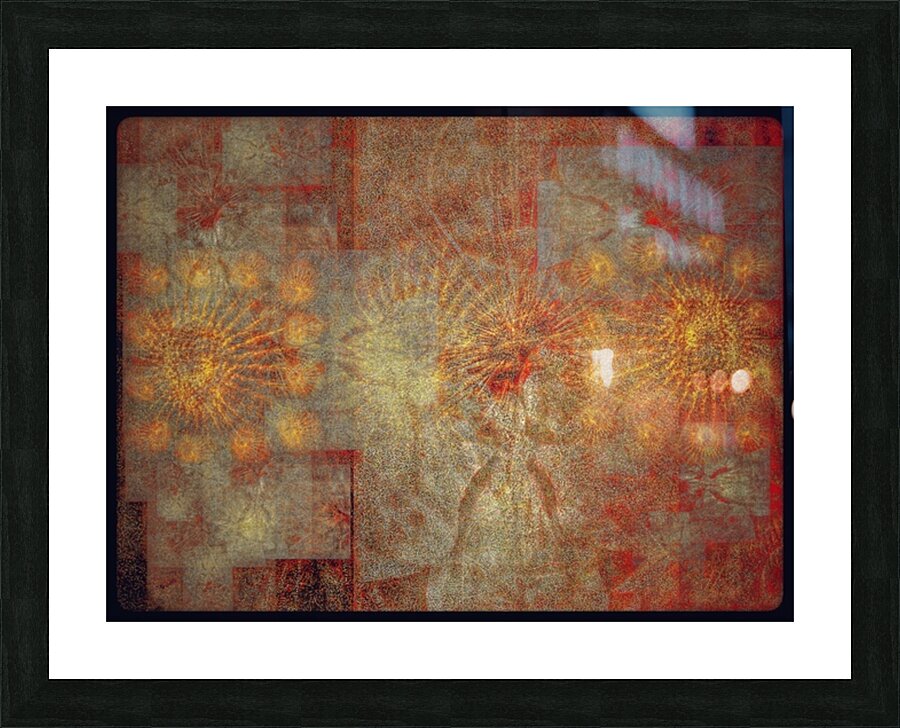 V841 Picture Frame print