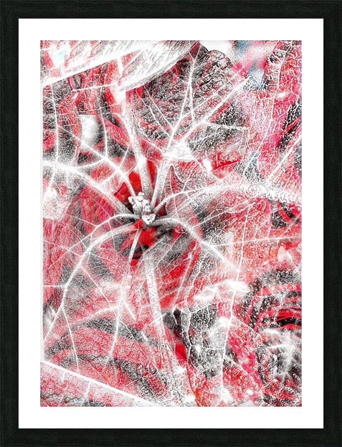 V842 Picture Frame print