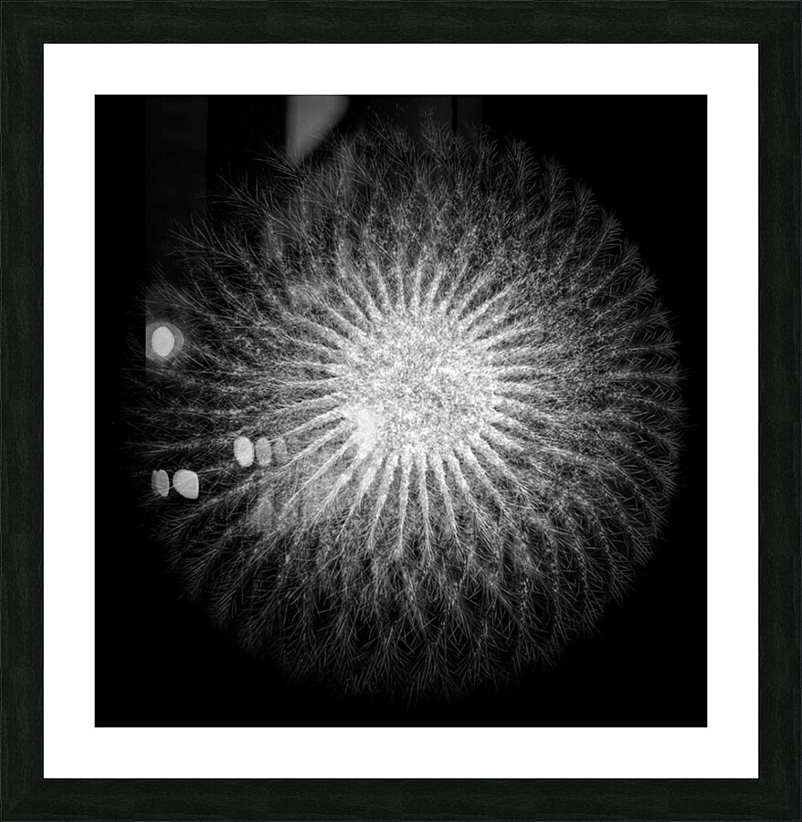 V853 Picture Frame print