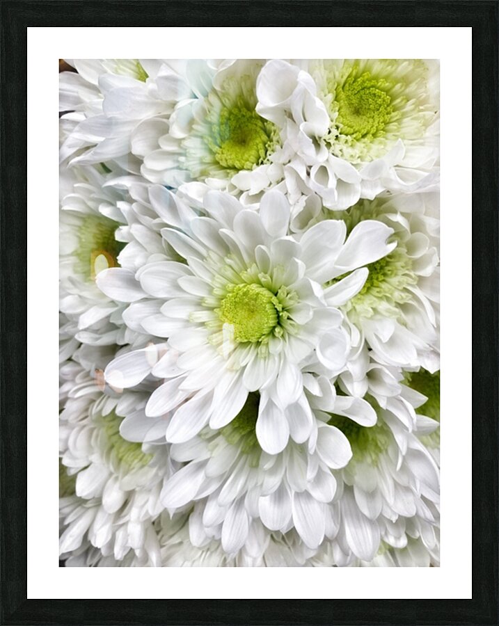 V855 Picture Frame print
