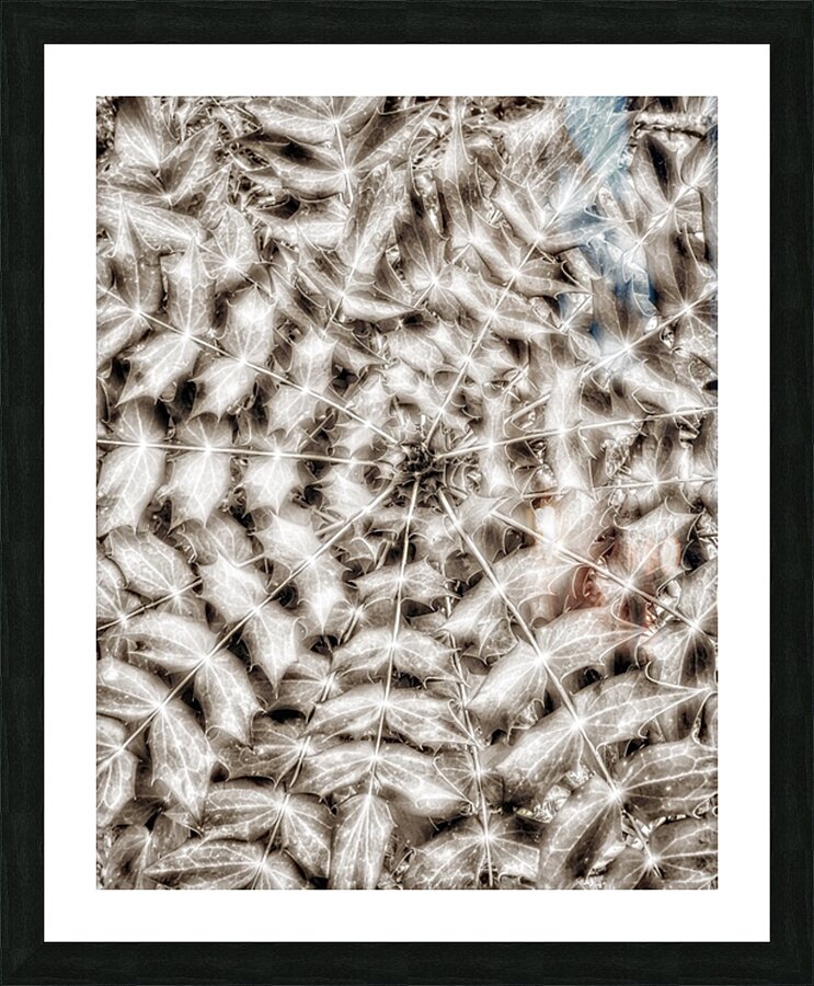 V856 Picture Frame print