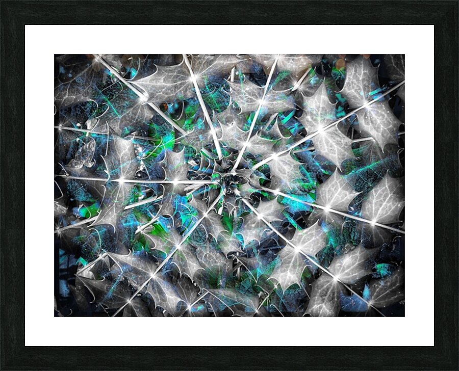 V857 Picture Frame print