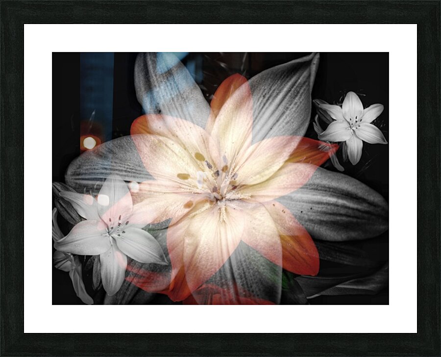 V860 Picture Frame print