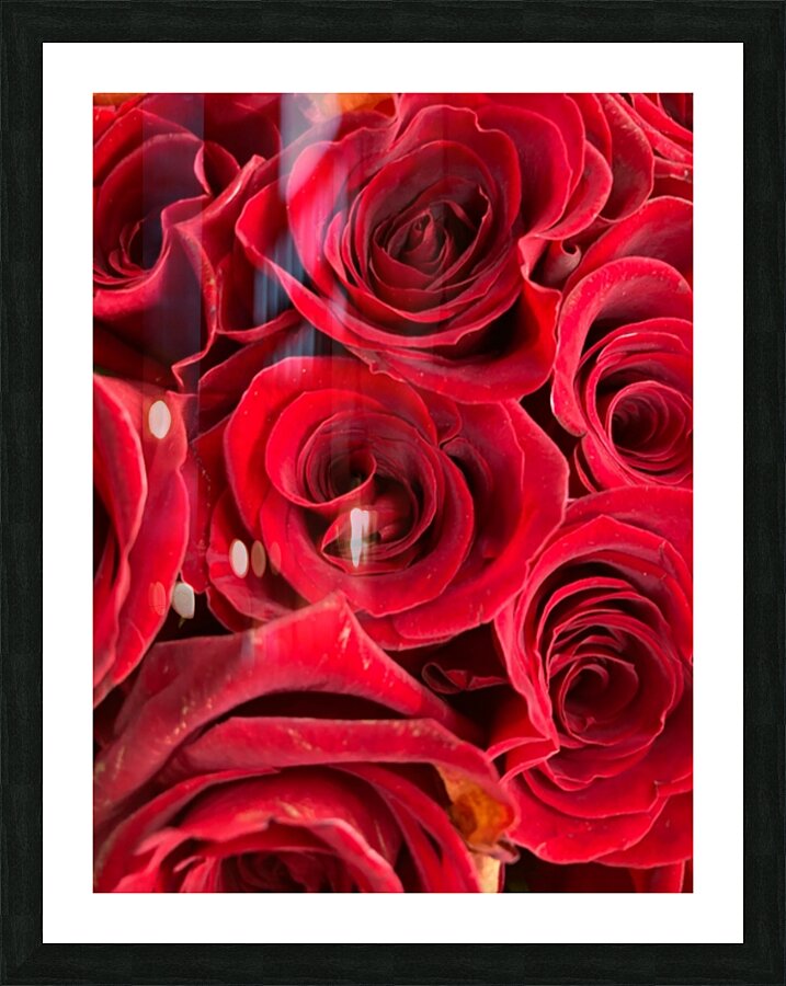 V862 Picture Frame print