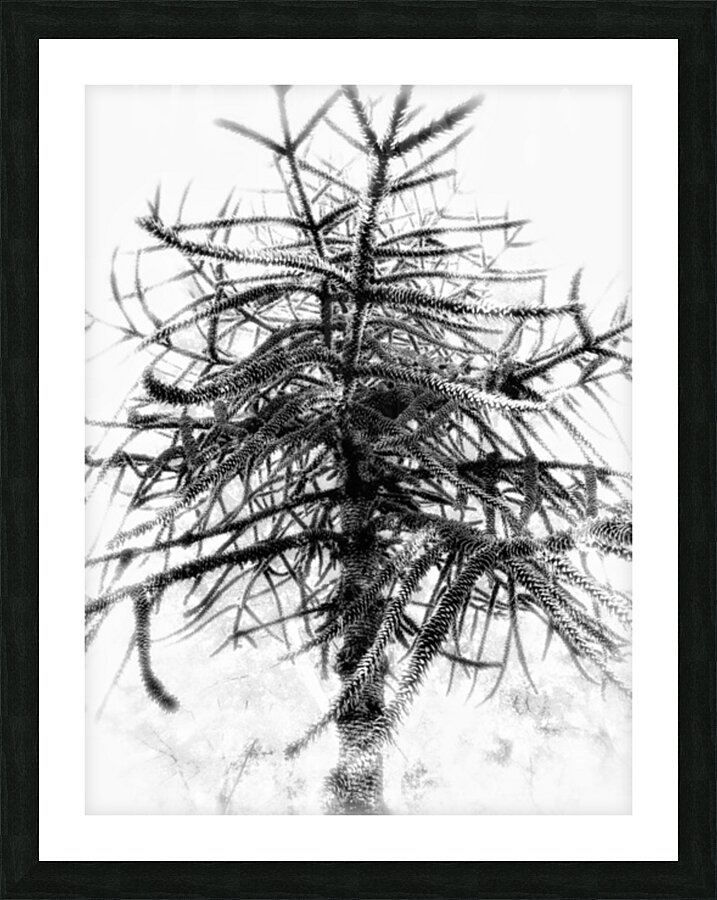 V863 Picture Frame print