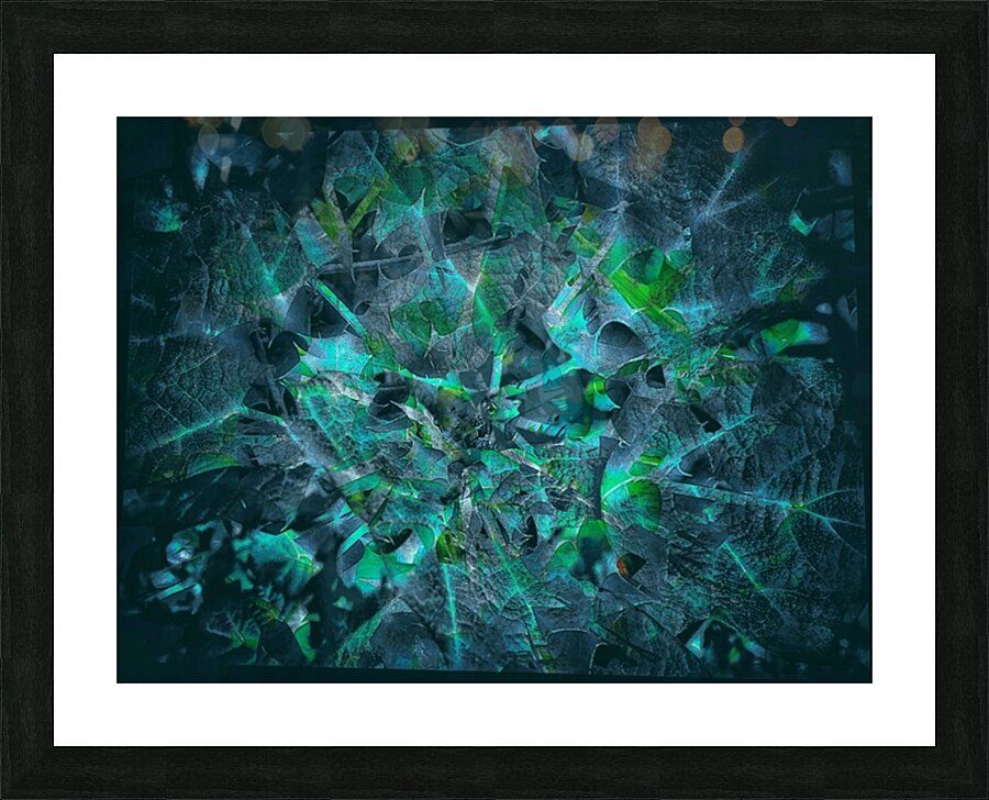 V866 Picture Frame print