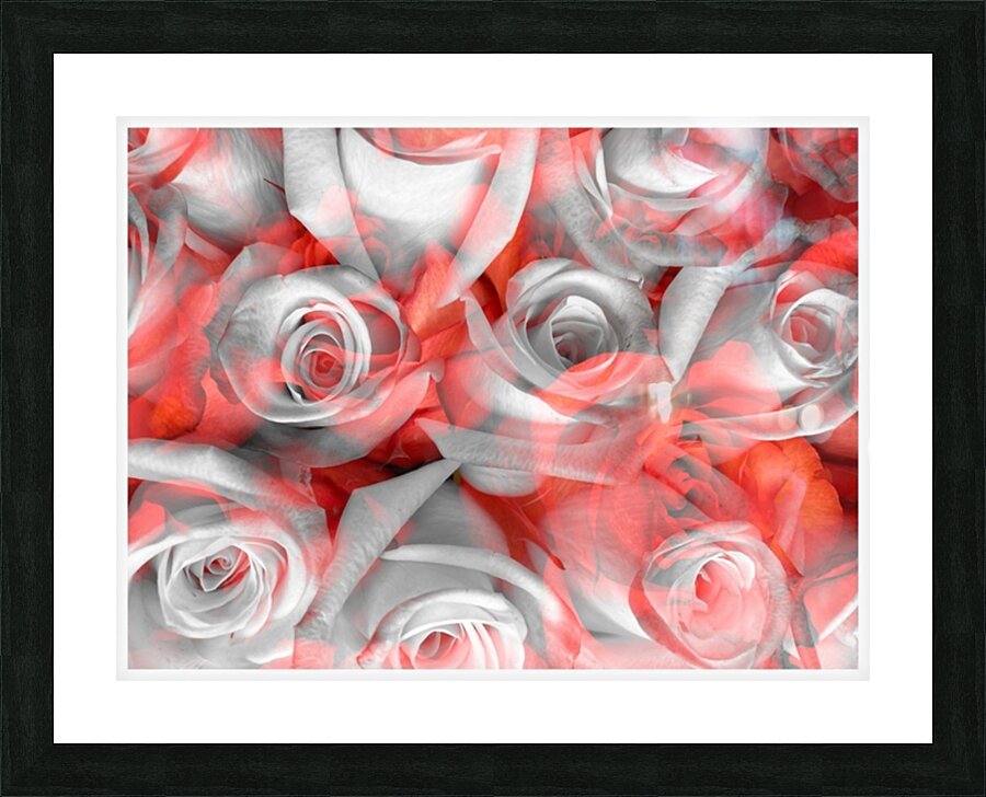 V867 Picture Frame print