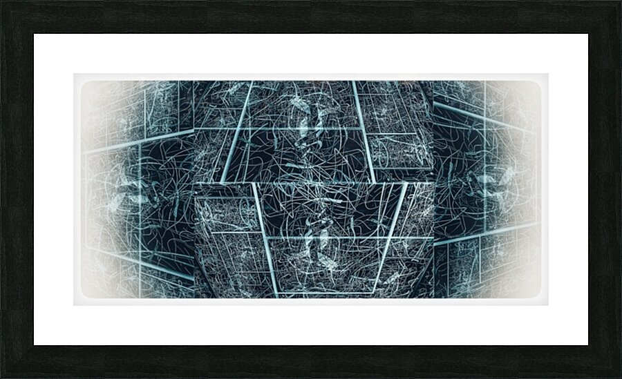 V869 Picture Frame print