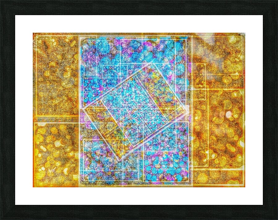 V873 Picture Frame print