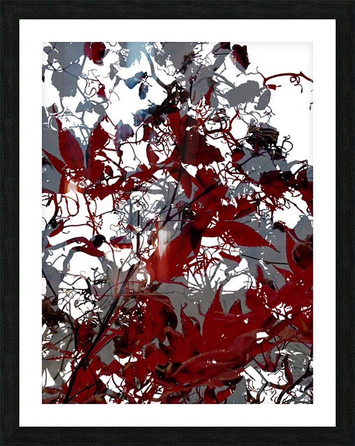 V876 Picture Frame print