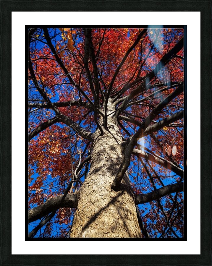 V877 Picture Frame print