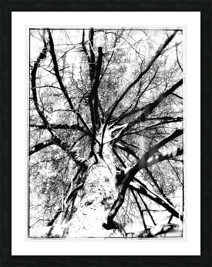 V879 Picture Frame print