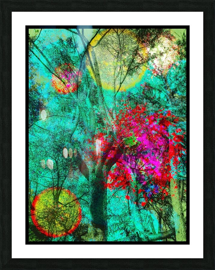 V881 Picture Frame print