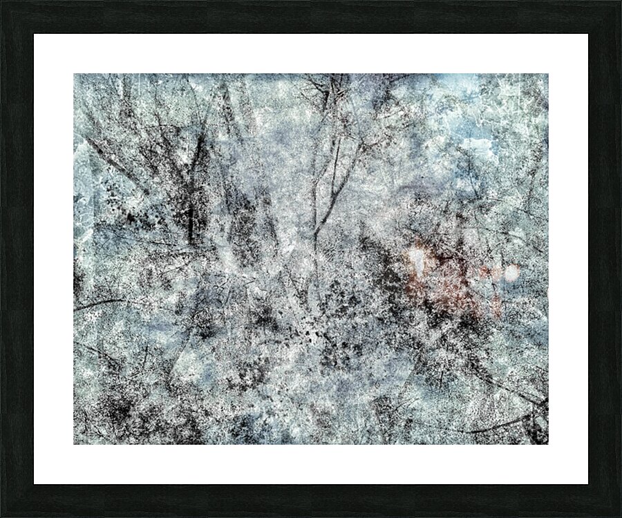 V883 Picture Frame print