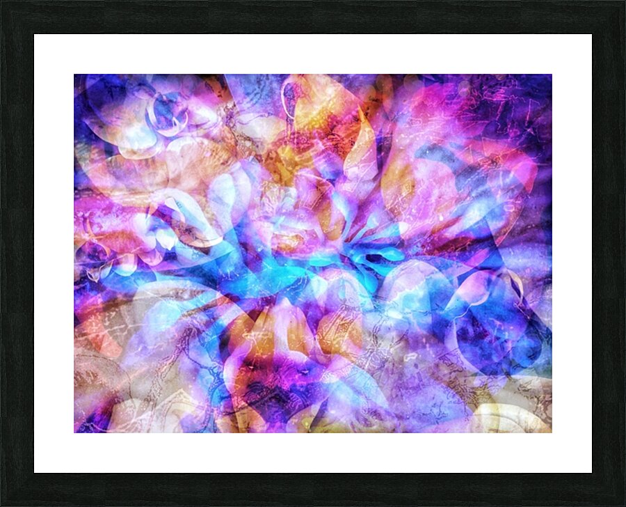 V894 Picture Frame print